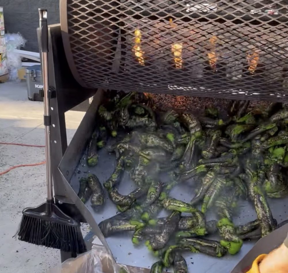 Roasted, blistered Hatch chiles